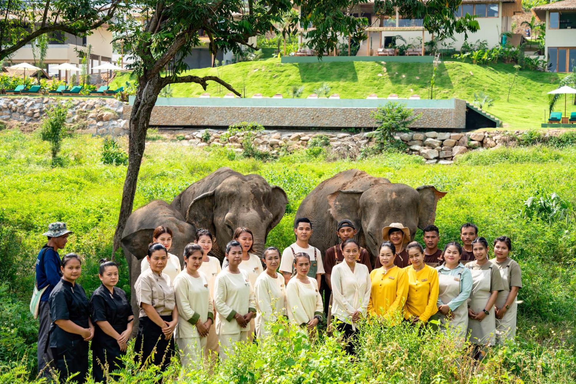 Wild Cottages Elephant Sanctuary Resort Amphoe Koksamui Ngoại thất bức ảnh
