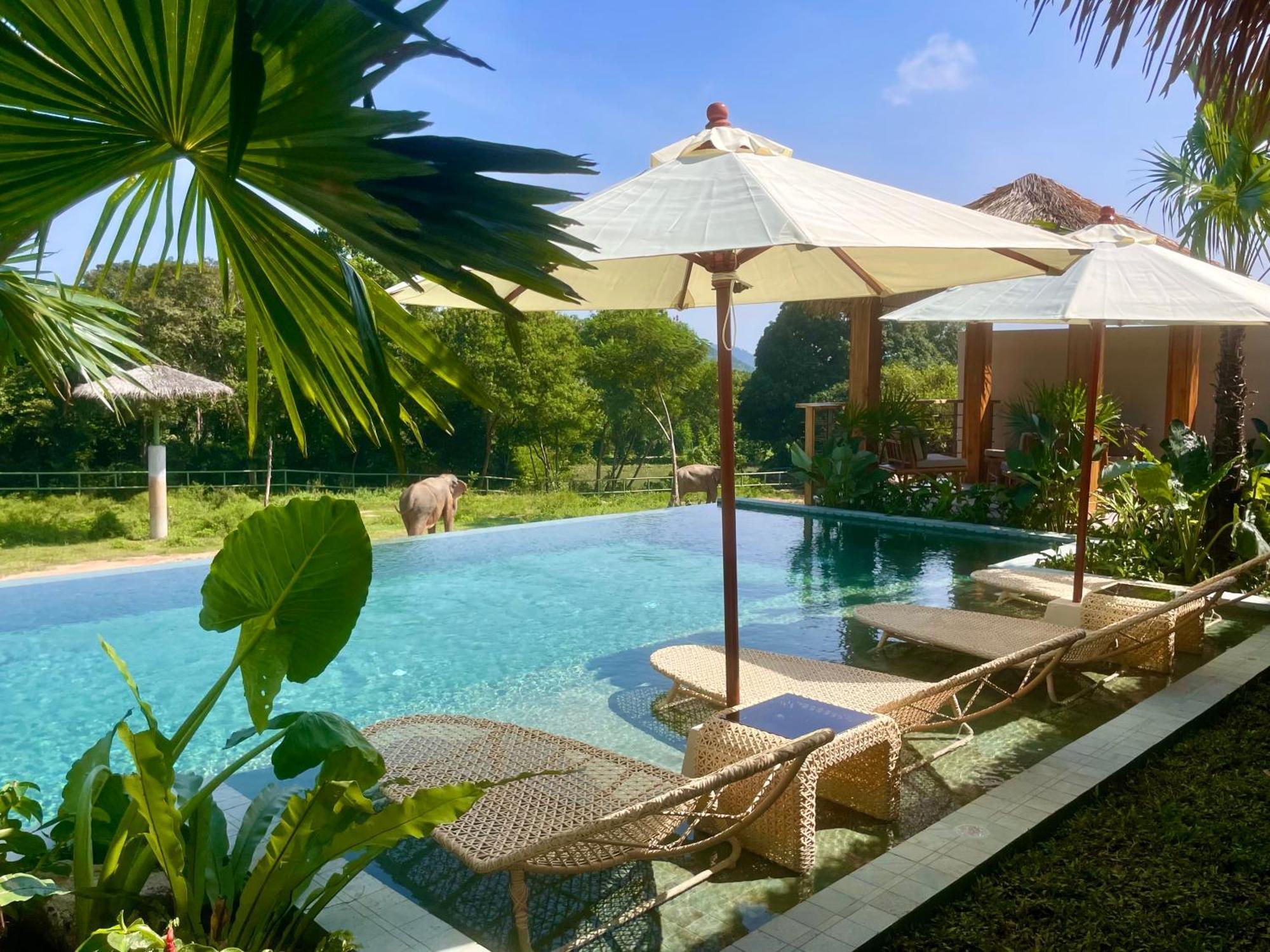 Wild Cottages Elephant Sanctuary Resort Amphoe Koksamui Ngoại thất bức ảnh