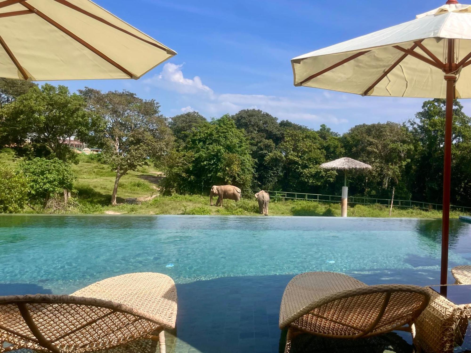 Wild Cottages Elephant Sanctuary Resort Amphoe Koksamui Ngoại thất bức ảnh
