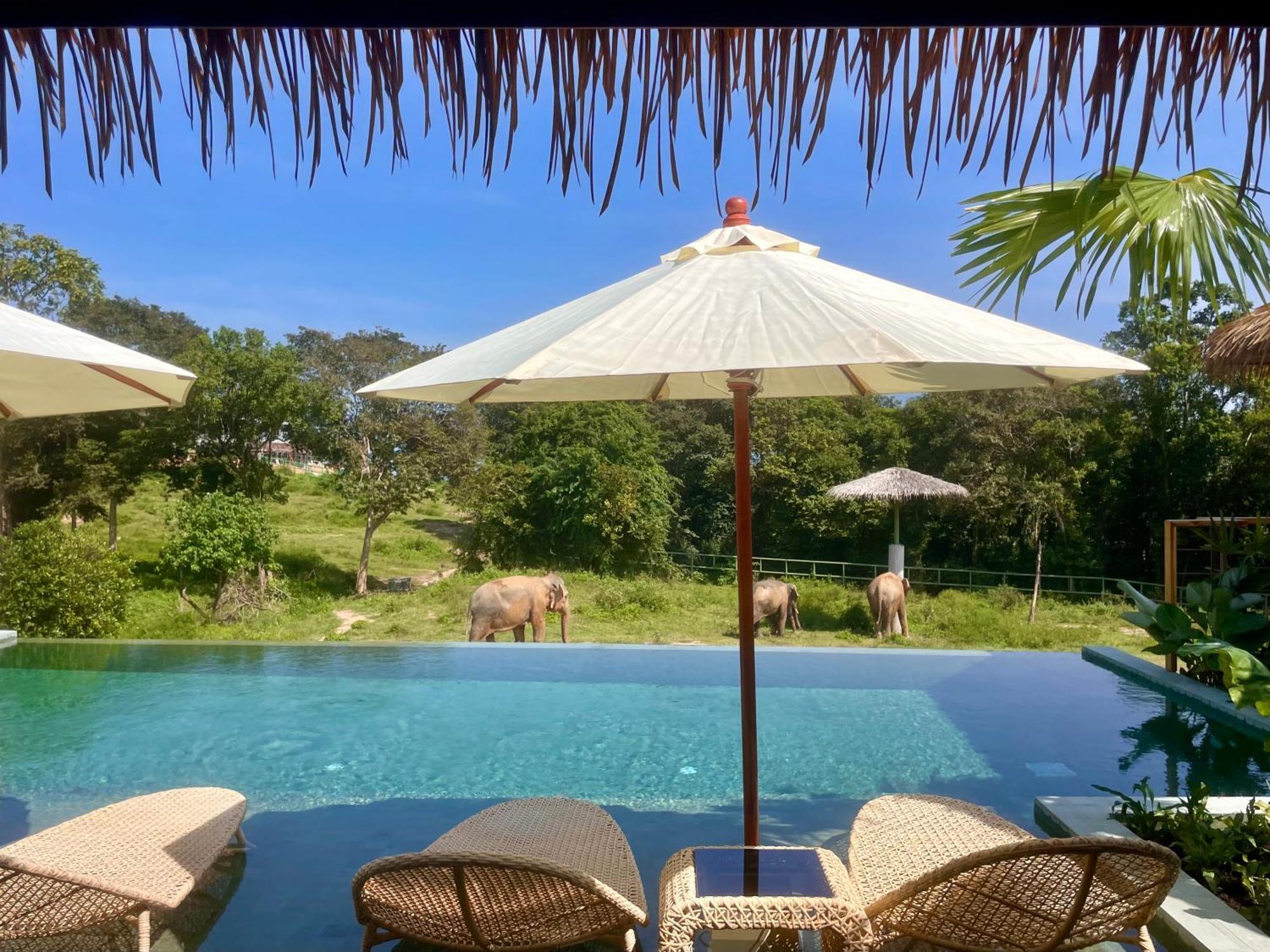 Wild Cottages Elephant Sanctuary Resort Amphoe Koksamui Ngoại thất bức ảnh